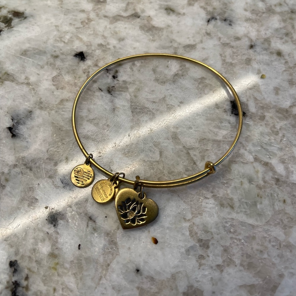 Alex and Ani Bracelet